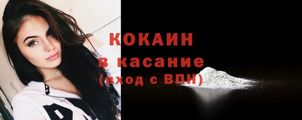 мдпв Няндома