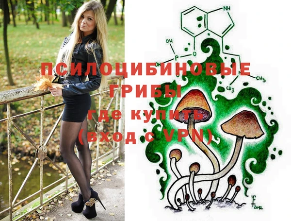 ешки Абинск
