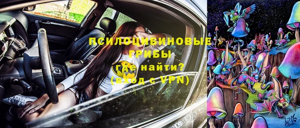 ешки Абинск