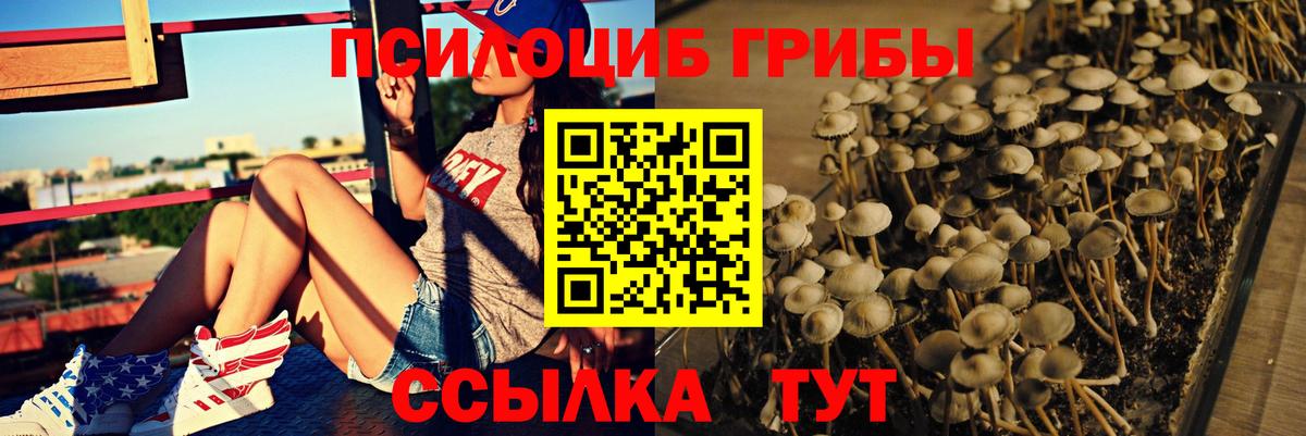 Югорск  Галлюциногенные грибы Cubensis  Галлюциногенные грибы GOLDEN TEACHER  сколько стоит  Вход с VPN 
